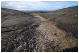 Fototur til Flatholman i Muruvik