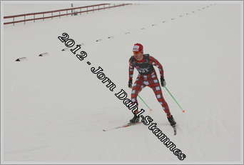 Truls Torvik (111099)