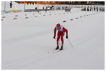 Stian Elverhøi (88868)